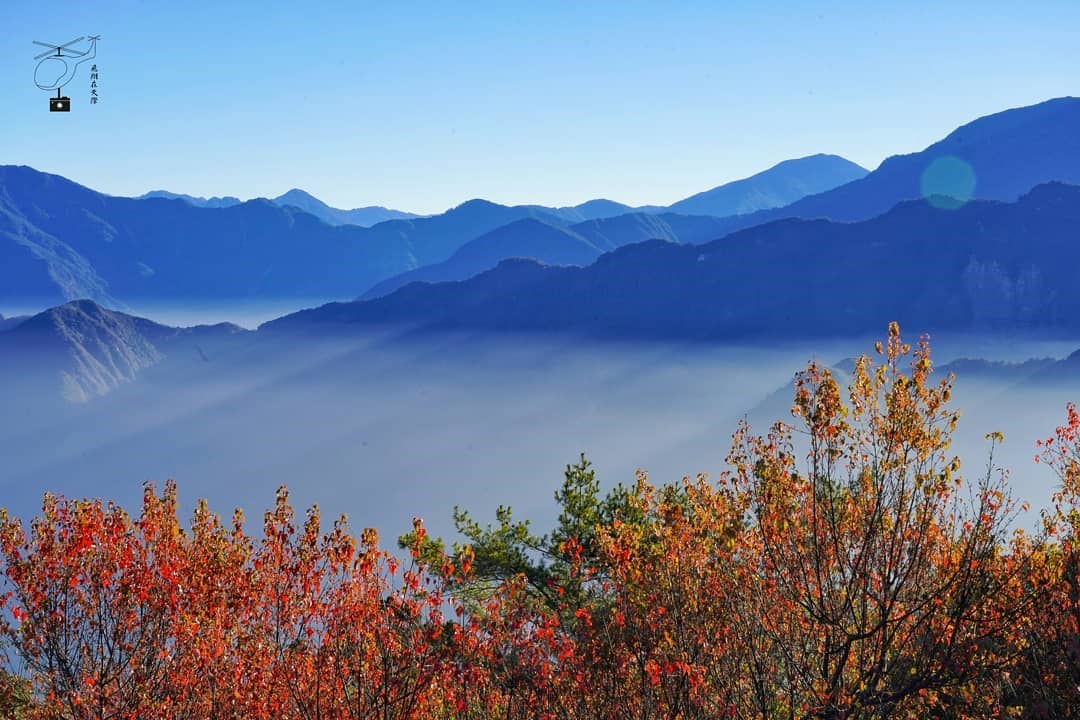 嘉義 季節限定 360度觀景台賞雲海 夢幻楓紅一次收 遠離塵囂呼吸山林芬多精 放鬆身心靈不用人擠人 好想去喔